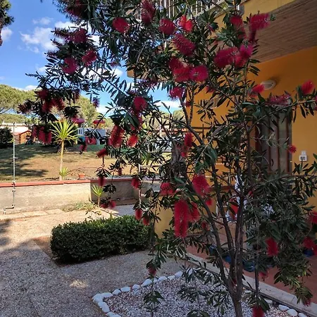 Hotel apartamentowy Le Rose